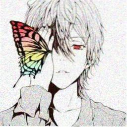 qimi avatar